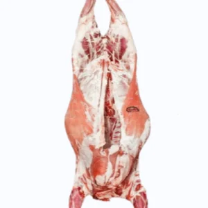 U lambs (Mutton) 45+ lbs