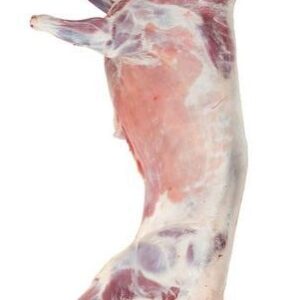 Premium quality Baby Goat 25-34 lbs.