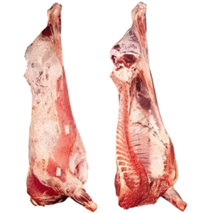 REGULAR BEEF CARCASS