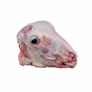 Lamb Head