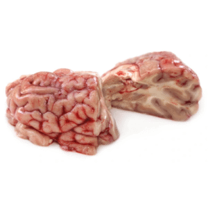 Beef Brain