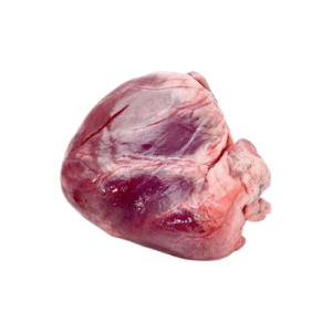 Beef Heart