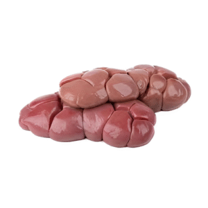 Beef Kidney