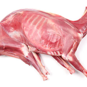 Nanny goat 35+ lbs.