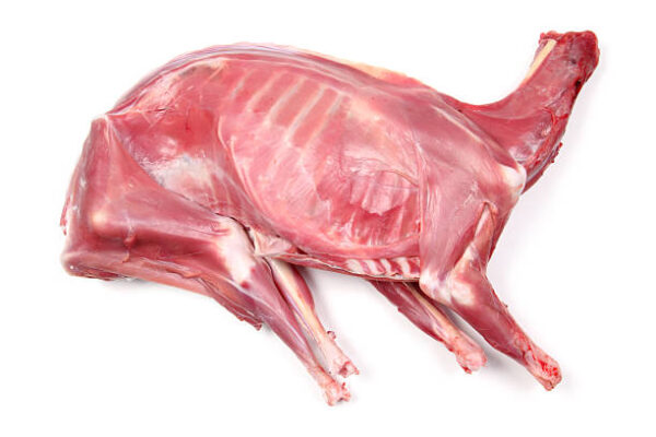 Nanny goat 35+ lbs.