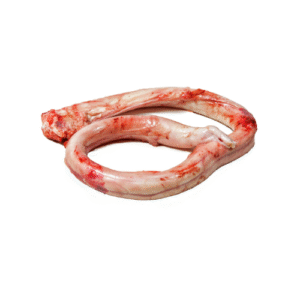Beef Pizzle