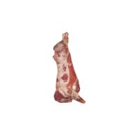 Premium quality Young yearling beef
