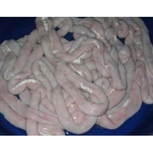 Goat Intestine
