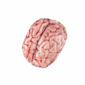 Beef Brain