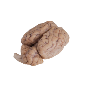 Lamb Brain