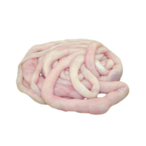 Lamb Intestine