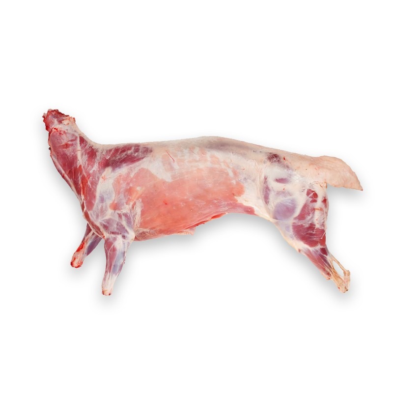 Lamb