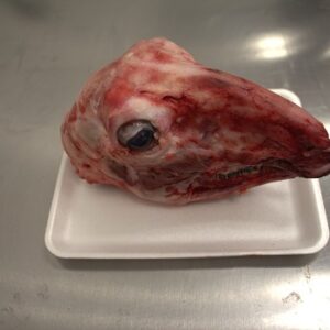 Goat Head