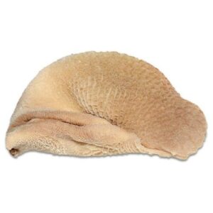Goat Tripe